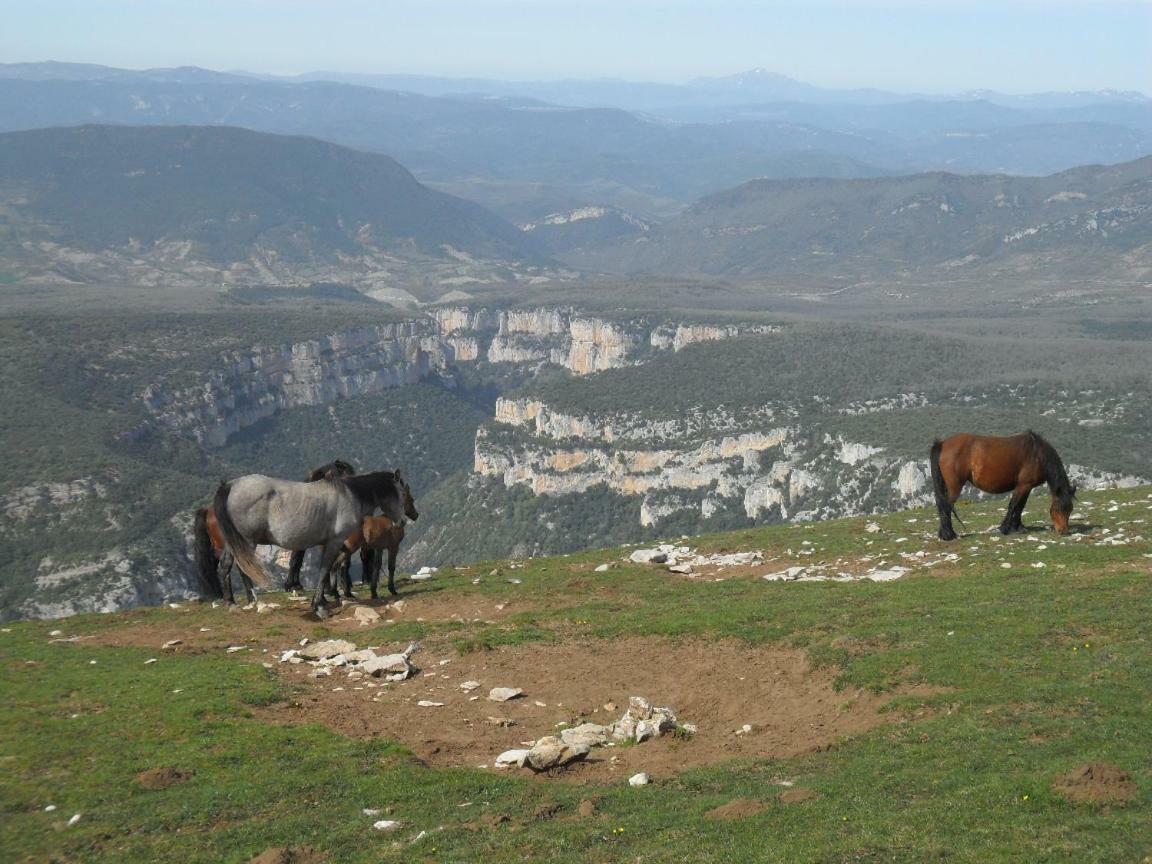 Bienvenidos A Vuestra Casa! Daire Sansoáin Dış mekan fotoğraf