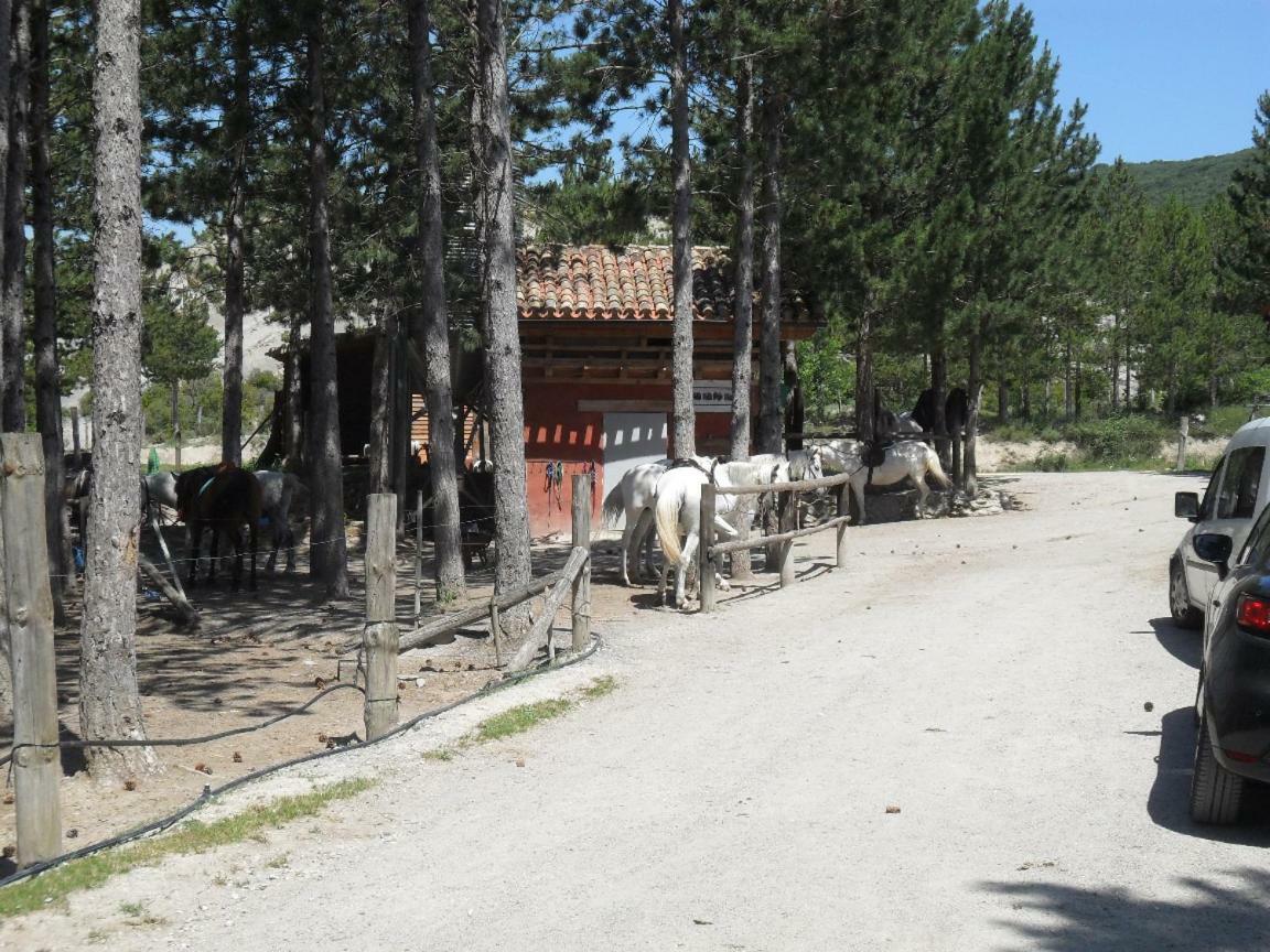 Bienvenidos A Vuestra Casa! Daire Sansoáin Dış mekan fotoğraf